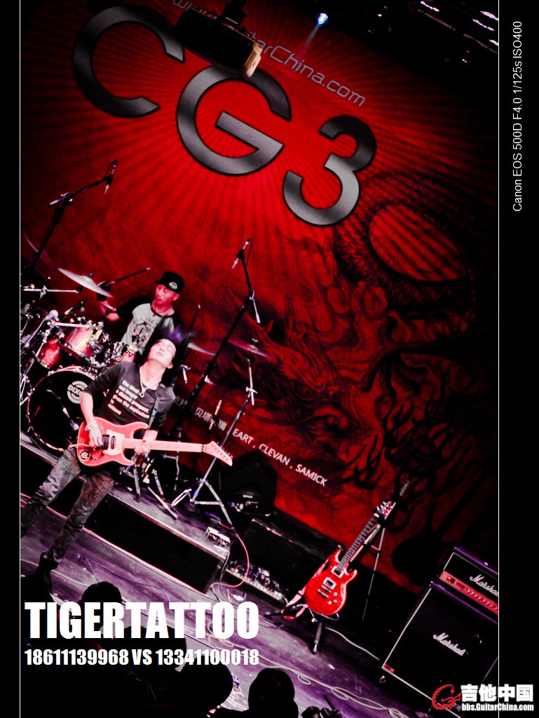 tigertattoo-5769.jpg