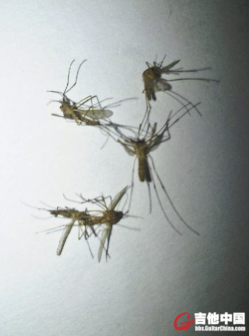 IMG-20120315-00523.jpg