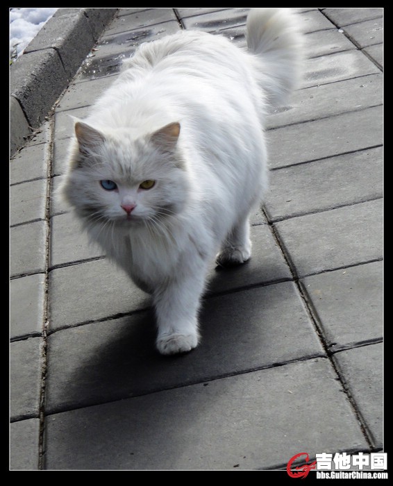 nEO_IMG_DSC01956.jpg