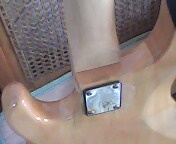 IMG0158A.jpg