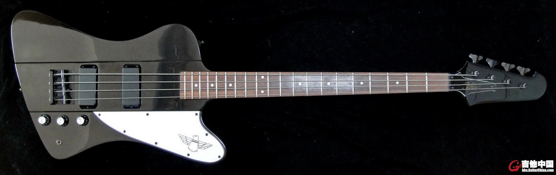 thunderbird11.jpg