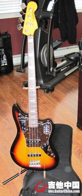 jaguar1.jpg