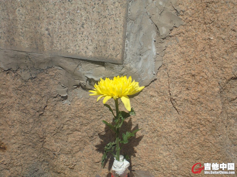 DSC00773.JPG