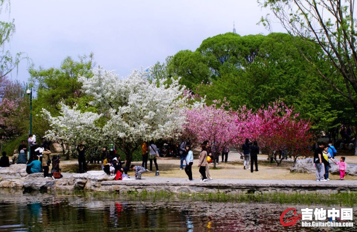 QQ截图20120408220140.jpg