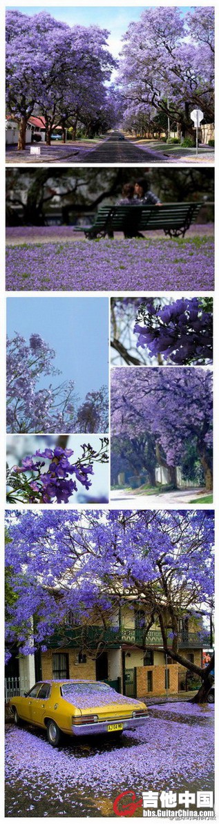 purple-2.jpg