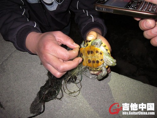 也是被渔网缠的死死地！