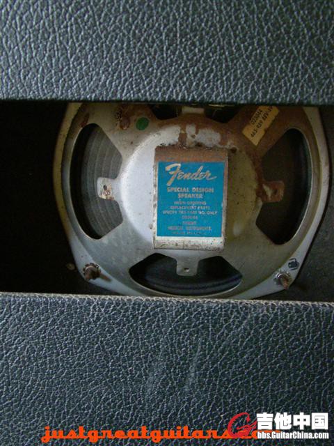 Fender-Champ-Amp-tail-logo-759.jpg