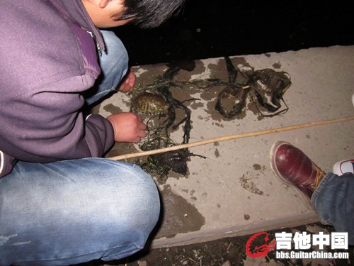 我们把大甲鱼捞上以后，发现还有一只小乌龟！