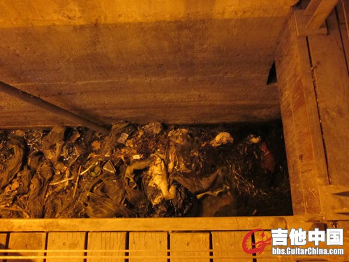 海河到处都是的尸体！这只是以下部分而已！