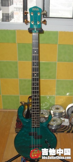 P1.jpg