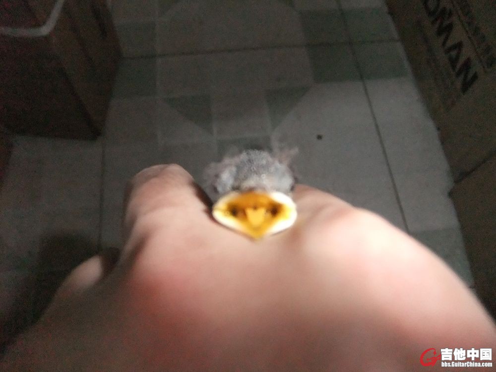 好萌啊~~嘴巴的颜色晃瞎你的眼~~~~