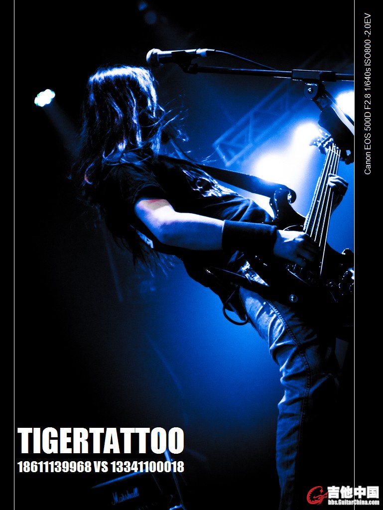 tigertattoo-0316.jpg