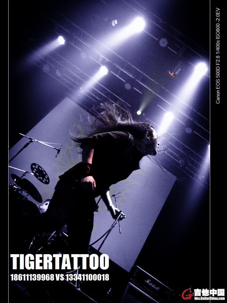 tigertattoo-0738.jpg