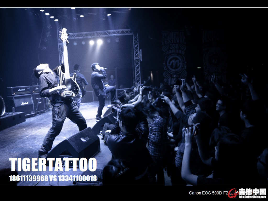 tigertattoo-0288.jpg