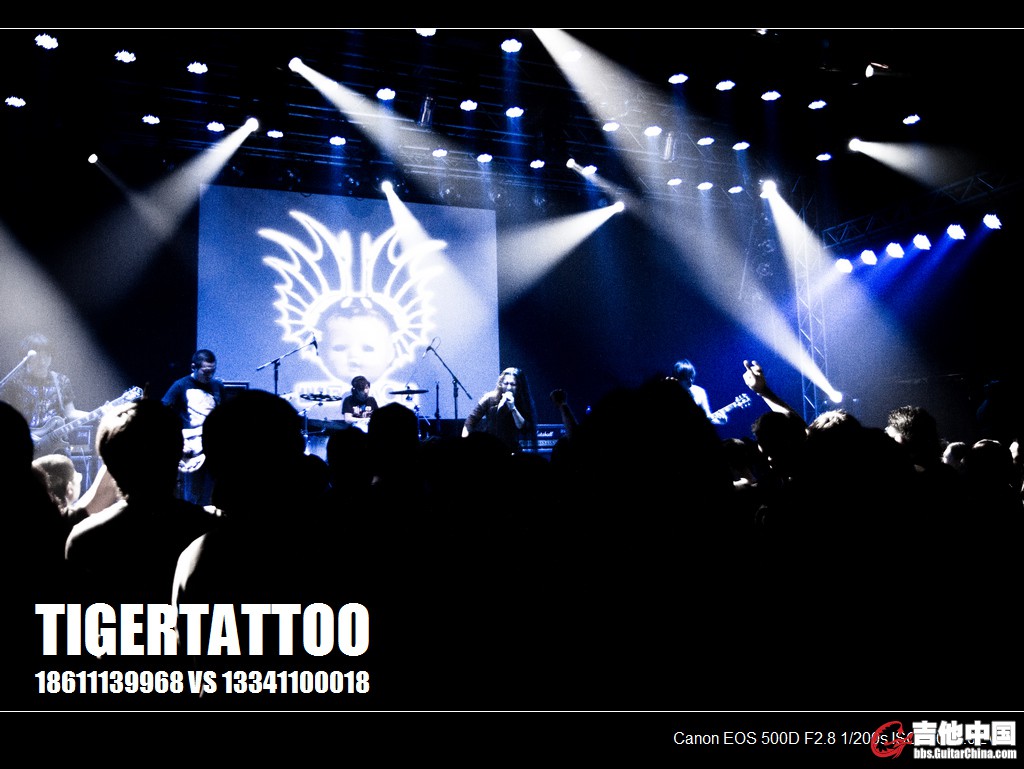 tigertattoo-0822.jpg