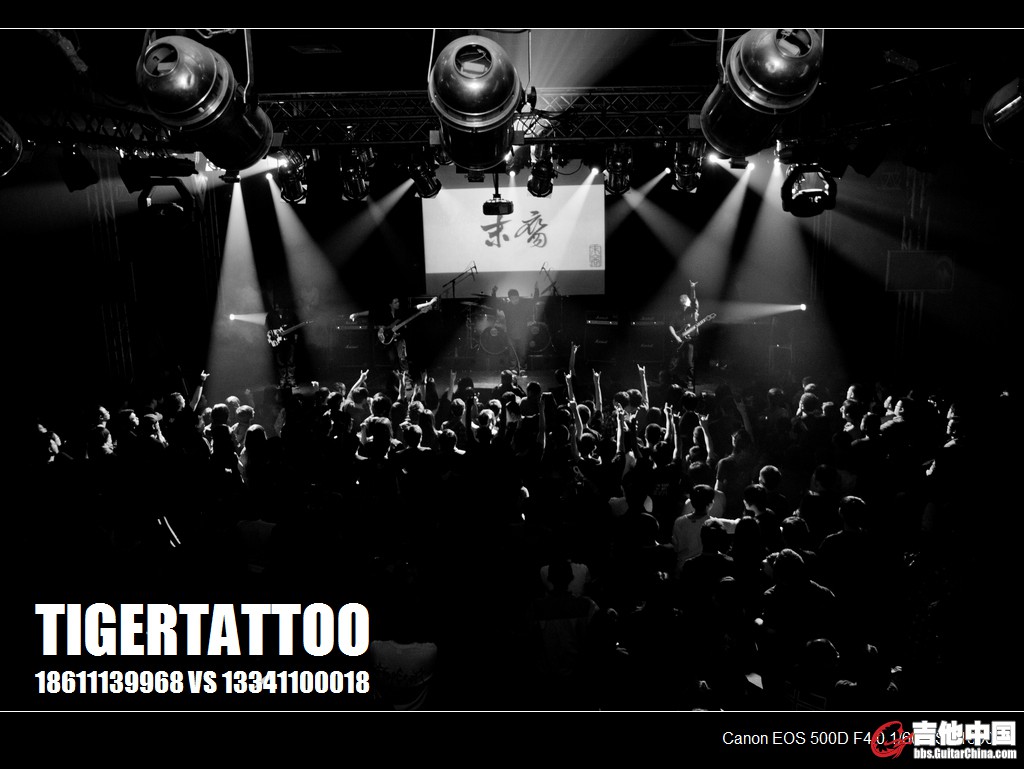 tigertattoo-0218.jpg