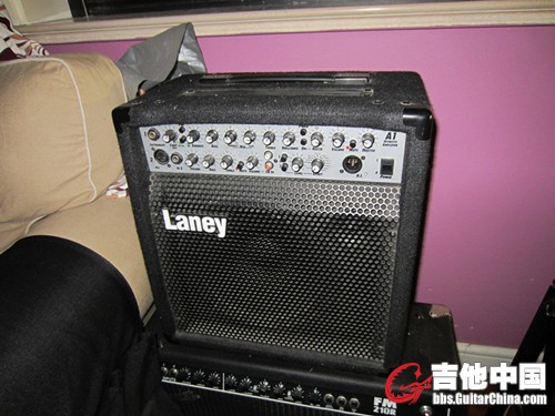 laney a1.jpg