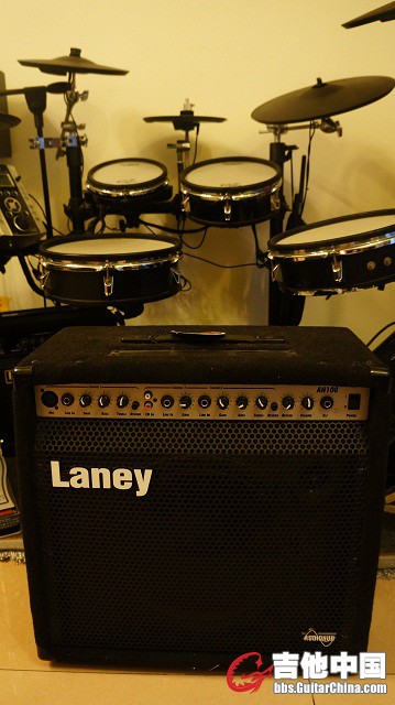 LANEY AH100.jpg