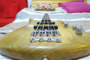 bass5.jpg