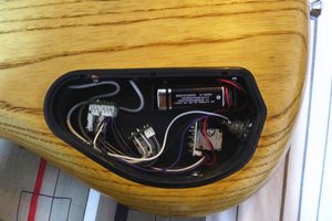 bass8.jpg