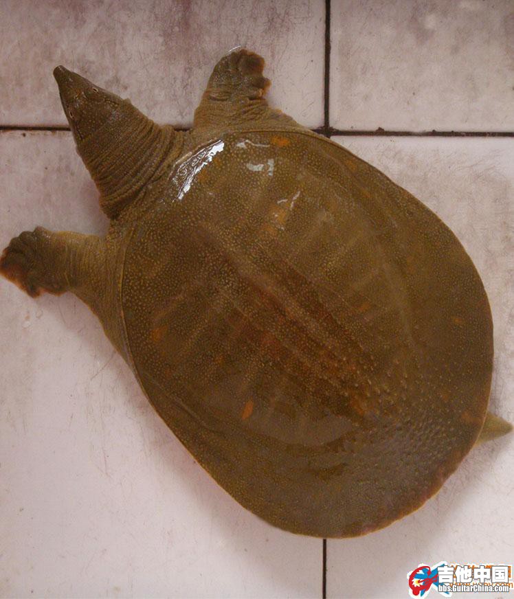 2009061709252641735[1].jpg