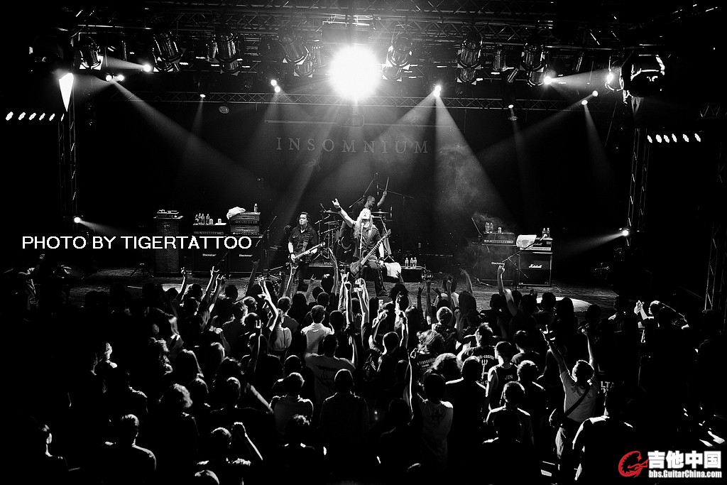 tigertattoo-6513.jpg