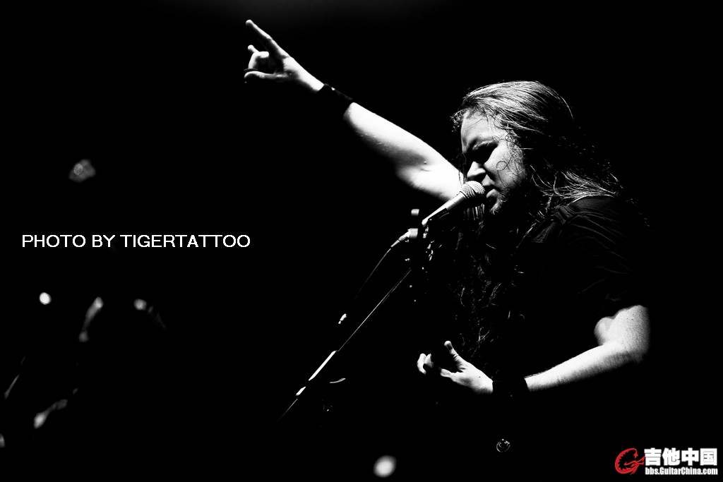 tigertattoo-6593.jpg