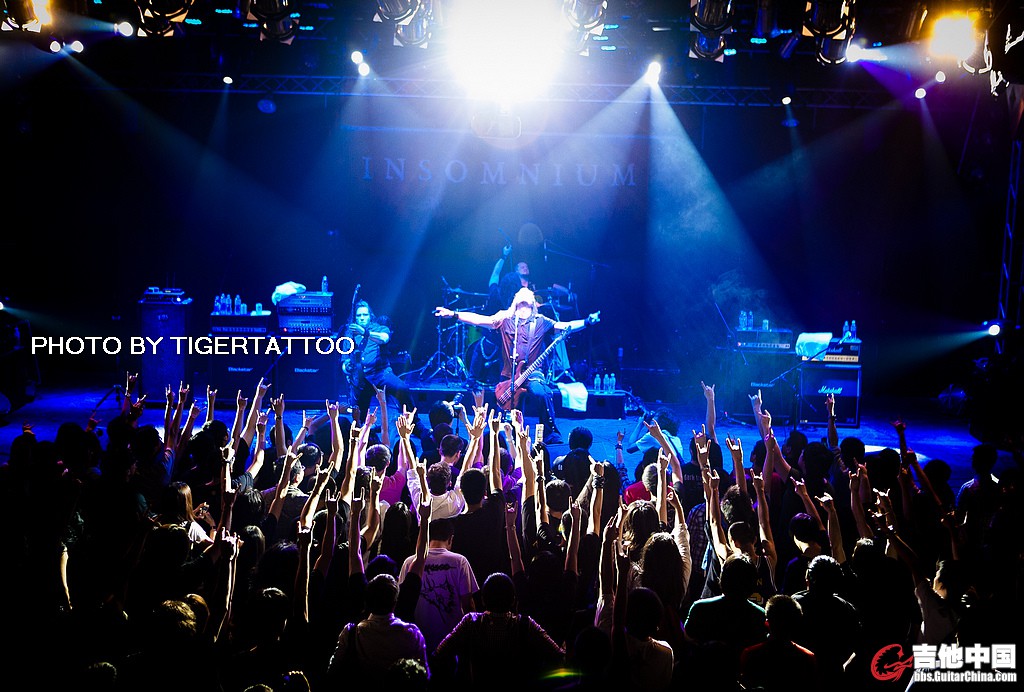 tigertattoo-6518.jpg