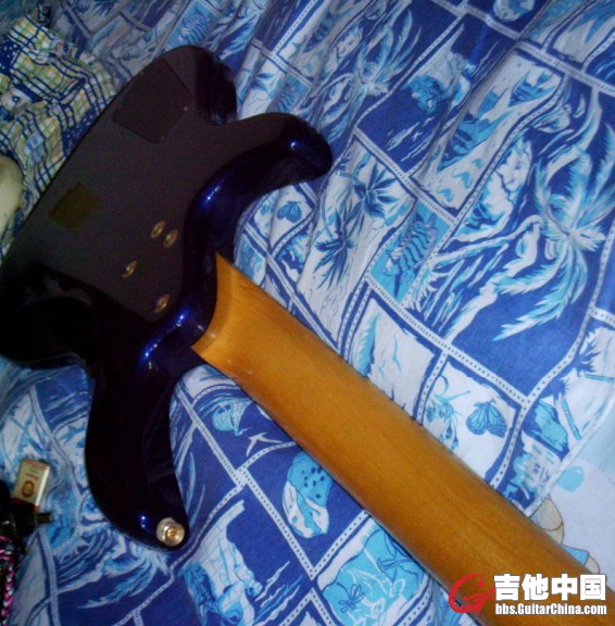 的飒飒.jpg
