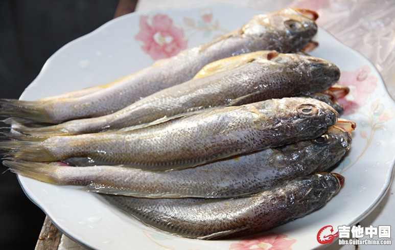 小黄鱼 生.jpg