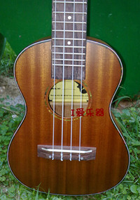 TUC-2004_副本.jpg