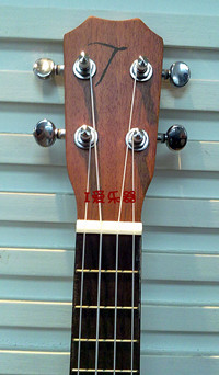 TUC-2006_副本.jpg