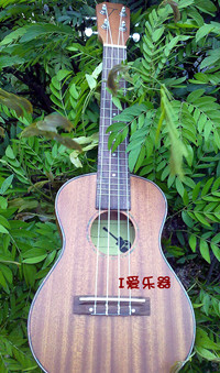 TUC-2003_副本.jpg