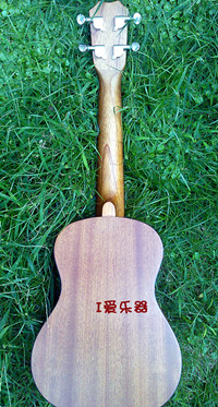 TUC-2002_副本.jpg