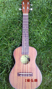 TUC-2001_副本.jpg