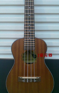 TUC-2008_副本.jpg