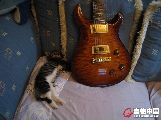 PRS.~~~3 031.jpg