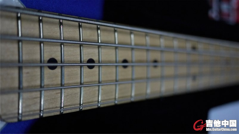 _1040425.JPG