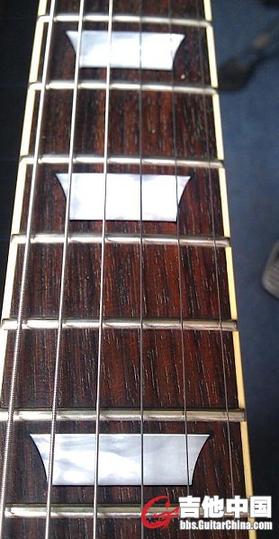 LP6.jpg