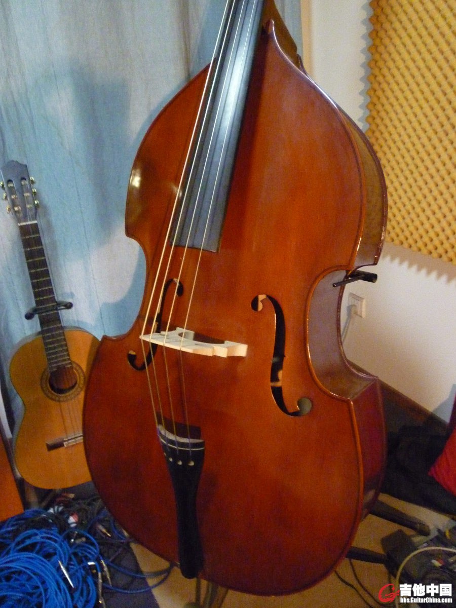dbl bass.jpg