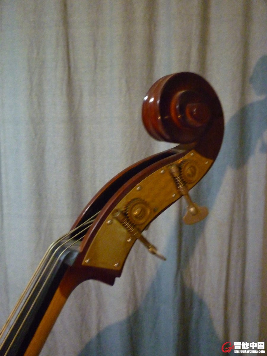 dbl bass head.jpg