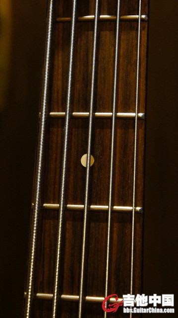 FENDER0136600F.jpg