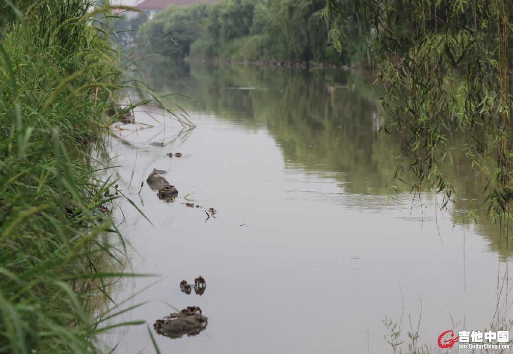 QQ截图20120708215324.jpg