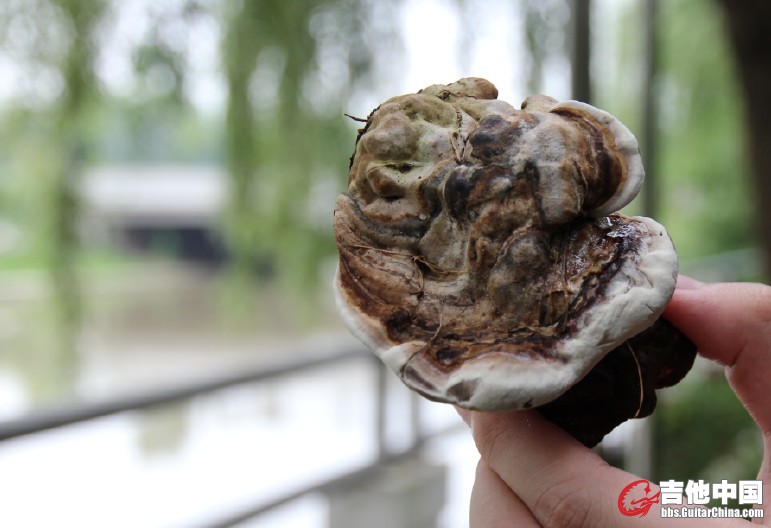 QQ截图20120708210845.jpg
