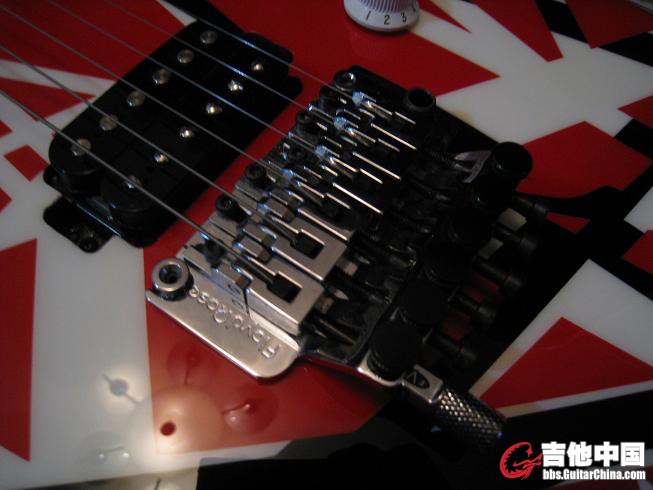 C. EVH 005.jpg