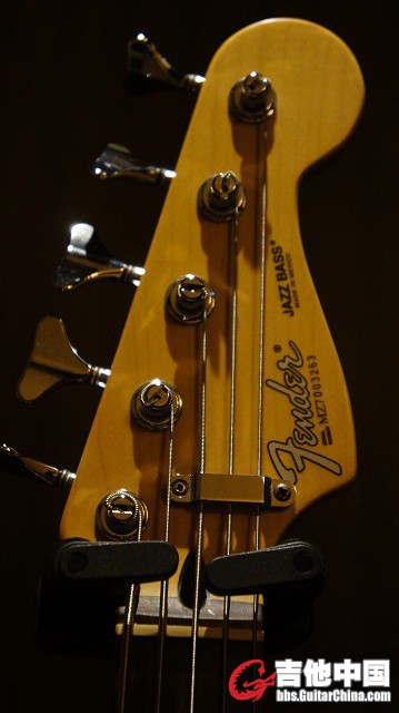FENDER0136600G.jpg