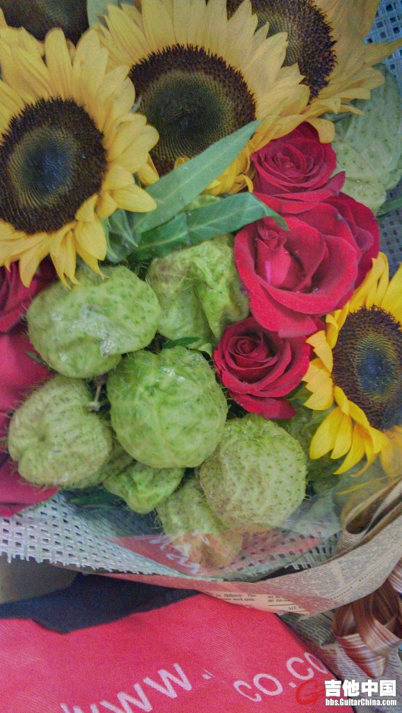 IMAG0282.jpg