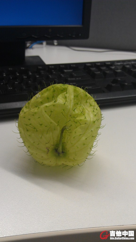 IMAG0284.jpg