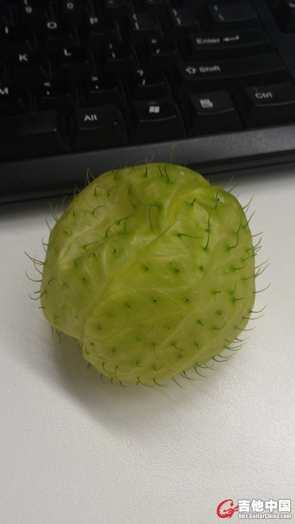 IMAG0283.jpg