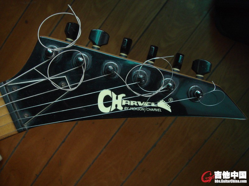 DSC02926_调整大小.JPG